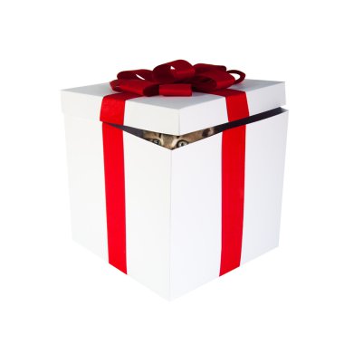 γατάκι μέσα στο κιβώτιο δώρων