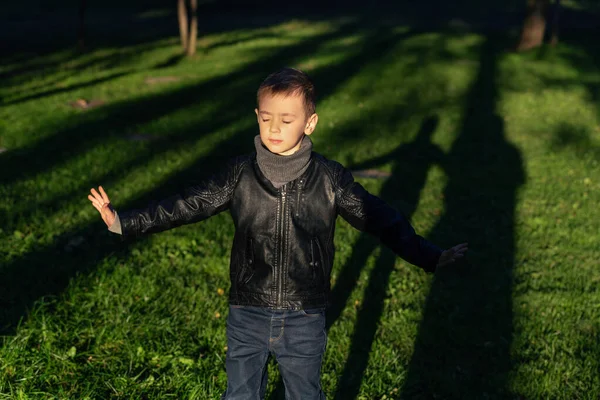 Retrato emocional de un niño en edad preescolar con los brazos abiertos y los ojos cerrados. Un niño pequeño disfrutando del aire fresco y la luz del sol de otoño en el parque. Disfrutando de la vida y la naturaleza. — Foto de Stock