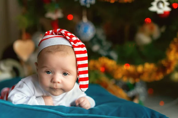 Egy Újszülött Portréja Csíkos Sapkában Egy Karácsonyfa Hátterében Elképedt Újszülött Jogdíjmentes Stock Képek