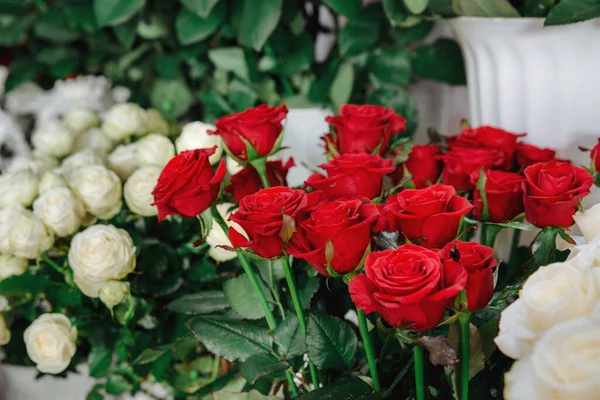 Red roses in a flower shop. Flower market. Roses of other colors on foreground and background. No people. — Stock Photo, Image