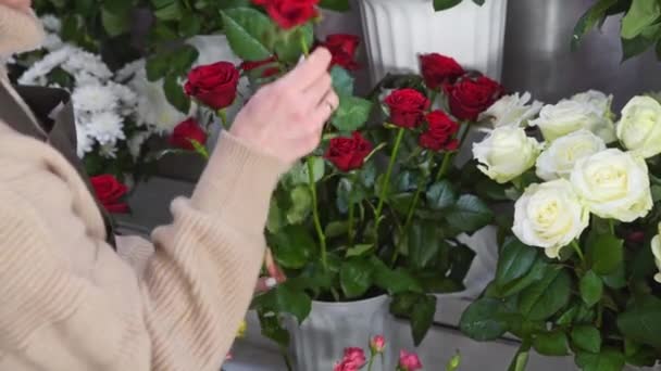 Florista prepara um buquê de flores para venda. Mulher a apanhar rosas escarlate frescas do vaso. Mulher de negócios na sua própria florista. Design floral, artes, criação de arranjos de flores de flores cortadas. — Vídeo de Stock