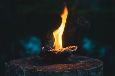 Ateş, şenlik ateşinin arka planında dumanla yanan bir odun.