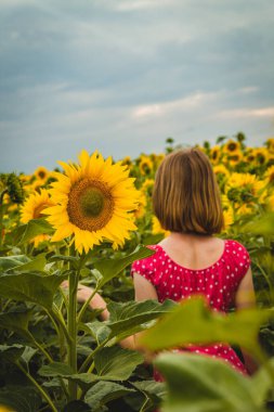 beautiful young girl in sunflower field, enjoying sunset