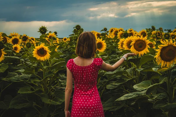 portrait of a cute young woman in sunflower field, enjoying the sunset