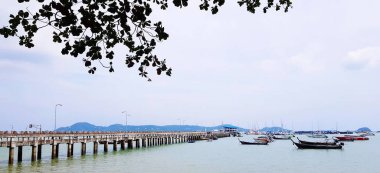 Phuket, Tayland-22 Mart 2022: Gezginlere, turistlere, mercanlara basmak yok, dokunmak yok, deniz hayvanlarını beslemek yok. 