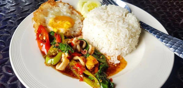 Close Stir Fried Basil Squid Fried Egg Thai Style White — Stock Photo, Image
