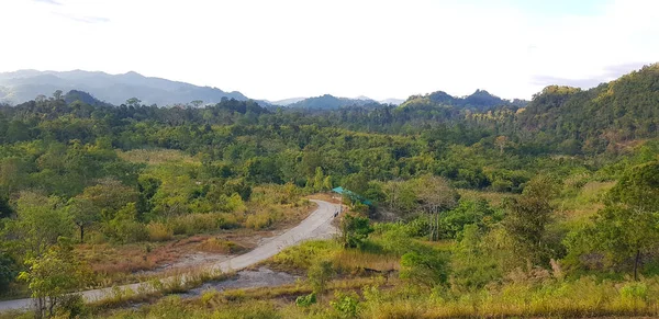 Tropikal Ormanın Manzarası Dağ Tepesi Gökyüzü Arka Planı Yol Sokak — Stok fotoğraf