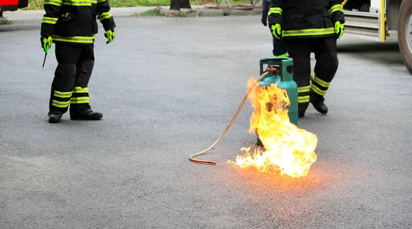 Tuinman Snijden Versierde Tak Van Boom Vrouw Vegen Bladeren Vloer — Stockfoto