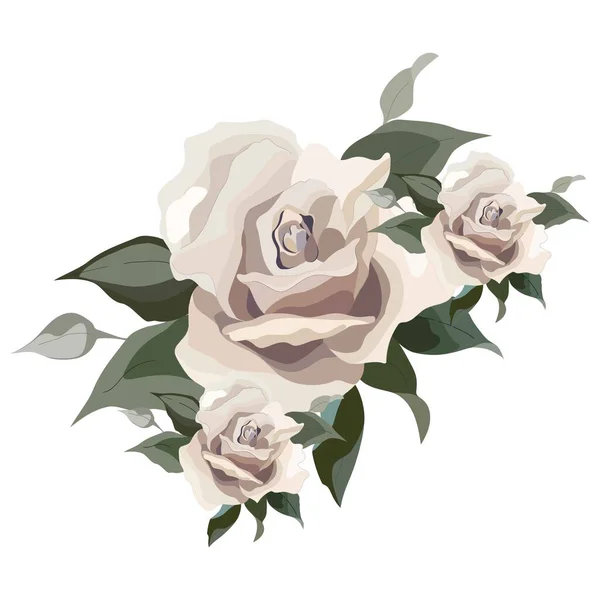 Illustration Florale Vectorielle Roses Pâles Crémeuses Design Mariage Invitations Cartes — Image vectorielle