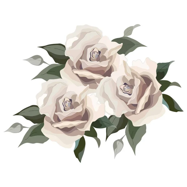 Ilustración Flores Vectoriales Rosas Pálidas Cremosas Diseño Boda Invitaciones Tarjetas — Vector de stock