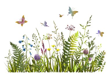 Renkli bahar çiçekleri tarlasının bir parçası. Yabani çiçekler. Çayır otları ve kelebekler.