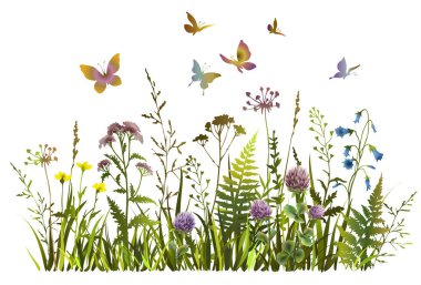 Renkli kır çiçekleri ve kelebek siluetleri. Çiçek baharı ya da yaz tarlası.