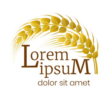 Buğday logosu şablonu tasarımı. Buğday kulaklı tasarımınız için elementler. Vektör illüstrasyonu.
