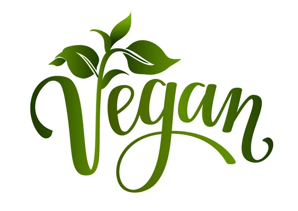 Vegan Χειρόγραφα Γράμματα Πράσινα Φύλλα Ετικέτα Ετικέτα Σφραγίδα Εικονογράφηση Διανύσματος — Διανυσματικό Αρχείο
