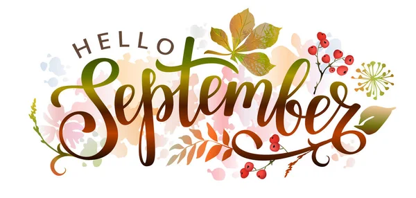 Hola Septiembre Letras Manuscritas Con Hojas Otoño Palabra Para Tipografía — Vector de stock