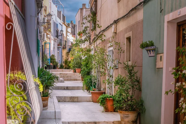 Alicante 'nin eski güzel caddeleri, küçük ağaçlı güzel saksılar, cadde boyunca çiçekler. Sokak merdivenleri, eski İspanyol mimarisi.