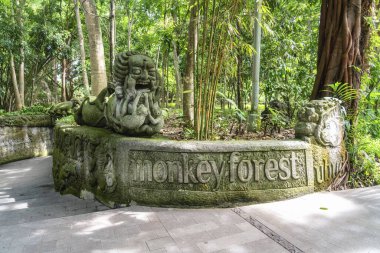 Kutsal Maymun Ormanına Giriş, Ubud, Bali, Endonezya