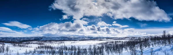 Cenário Panorama Inverno Montanhas Norte Suécia Lappland Floresta Bétula — Fotografia de Stock