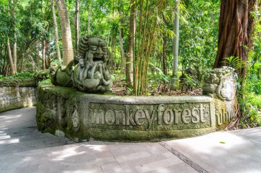 Kutsal Maymun Ormanına Giriş, Ubud, Bali, Endonezya