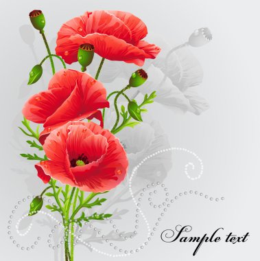 Red poppies on a gray background-EPS10 clipart