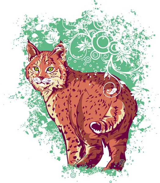 Bobcat on a green background — Stock Vector