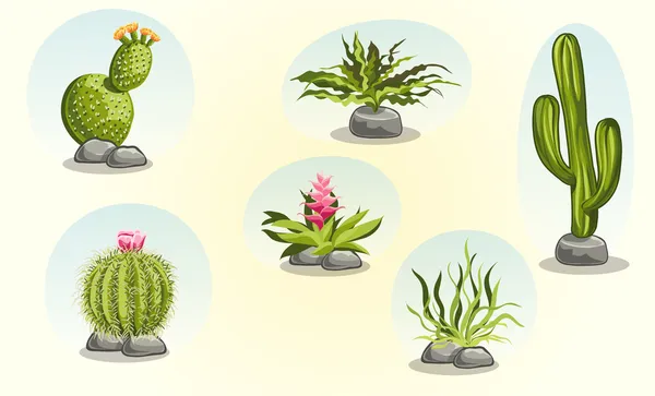 サボテンと砂漠の植物 — ストックベクタ