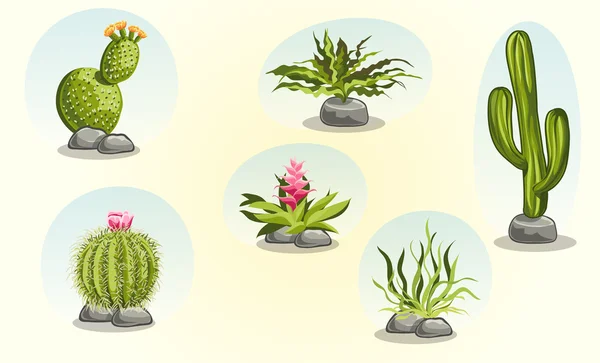 Cacti and desert plants — Stock Illustration Cacti and desert plants Stock Illustration