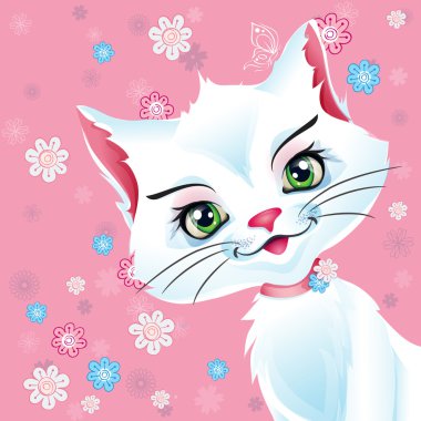 Pembe arka planda beyaz kedi