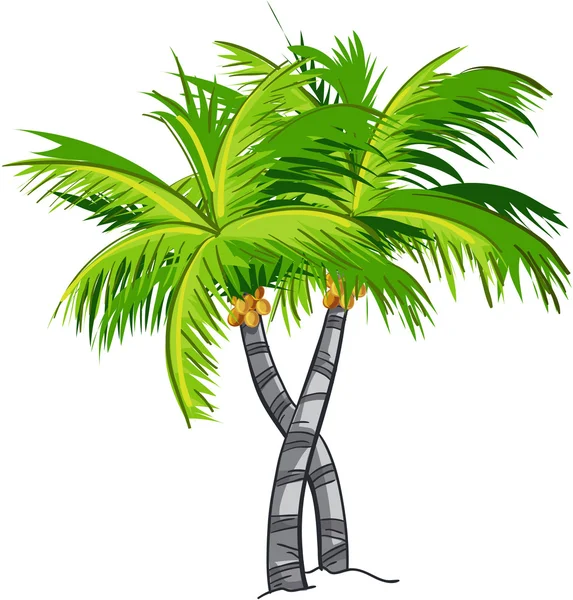 Cartoon kokosnöt träd. — Stock vektor
