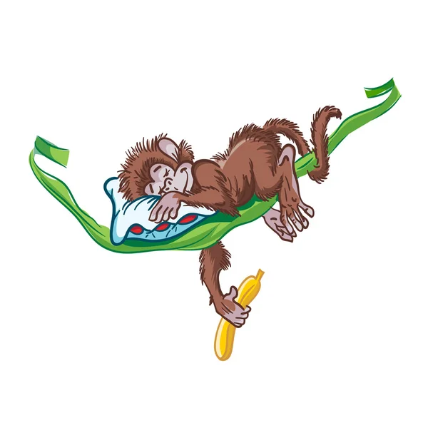 Sleeping monkey on the vine. — Stock Vector