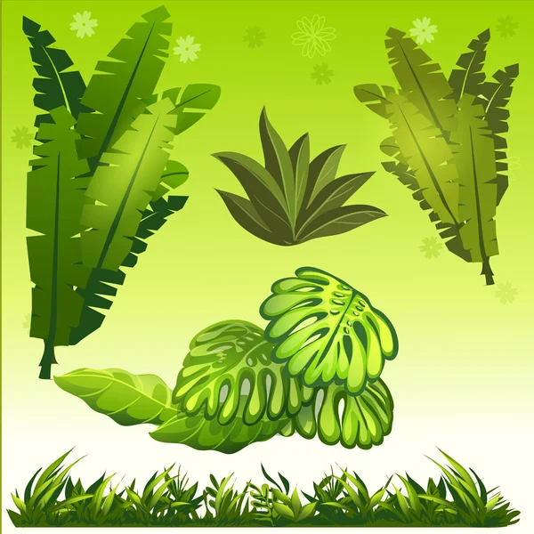 Leaves and grass jungle — Stock Vector