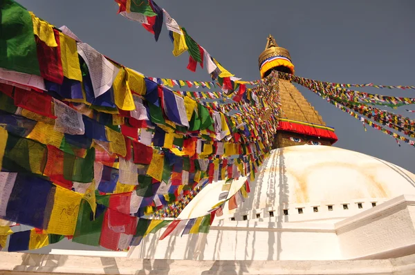 Ступа в Будханатх-Катманду Стоковая Картинка