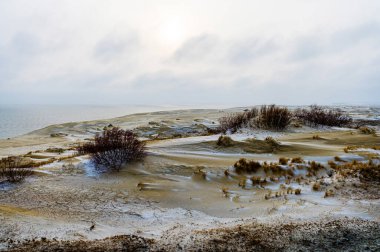 Sand dunes of the Russian part of the Curonian Spit in winter, partially swept by snow and wind. clipart