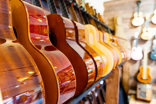 O serie de chitare acustice clasice în magazinul de muzică. — Fotografie, imagine de stoc