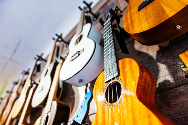 Dużo gitara Ukulele wisi na ścianie na sprzedaż Obraz Stockowy