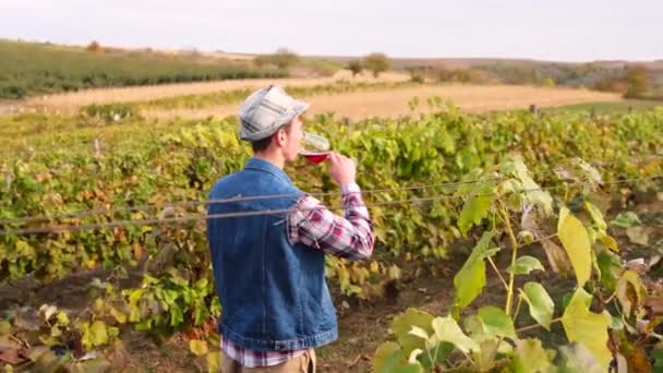 Campesino propietario viñedo de pie entre las filas de uvas y degustación de vino de la copa que sostiene en sus manos. — Vídeos de Stock