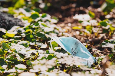 Kirlilik teması, insanların doğaya karşı tutumlarını gösteriyor. Kirli tıbbi maske parka atılmış..