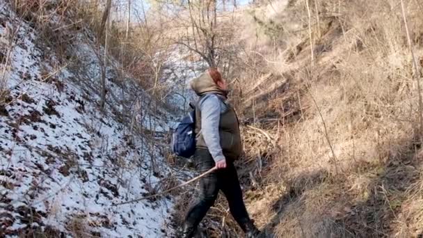 Ταξιδιώτισσα γυναίκα πεζοπορία μέσα από το δάσος πήγε κάτω από το λόφο με ένα μεγάλο ραβδί και τώρα αραιώνοντας πού να πάει, δάσος έννοια του τουρισμού. — Αρχείο Βίντεο
