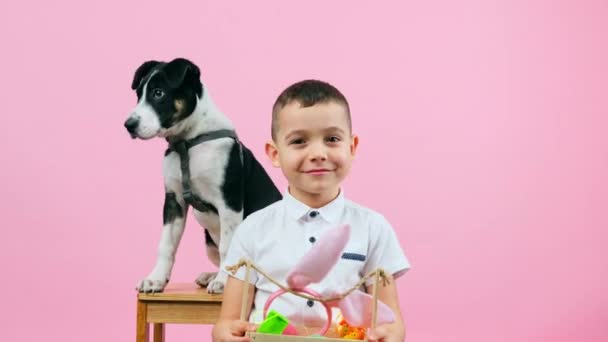 Schattig peuter kind met puppy hond, jongen en schattig huisdier met Pasen decoratie in studio, geïsoleerd in roze achtergrond . — Stockvideo
