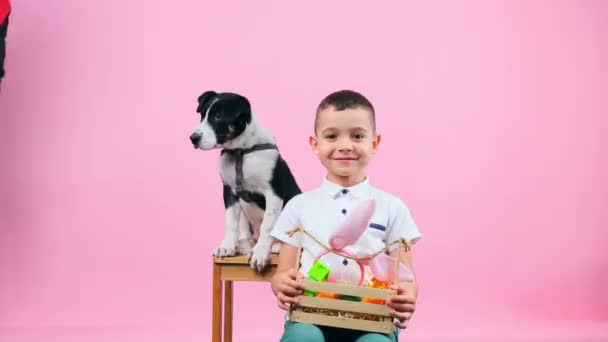 Kisfiú ül egy széken, kezében egy kosárral, festett tojásokkal és nyúl fülekkel, és az aranyos kiskutyájával, aki mögötte ül és nyalogatja a fiú arcát.. — Stock videók
