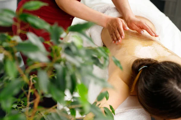 O massagista faz massagem relaxante com mel para uma menina bonita, tratamentos médicos na sala de massagem. — Fotografia de Stock