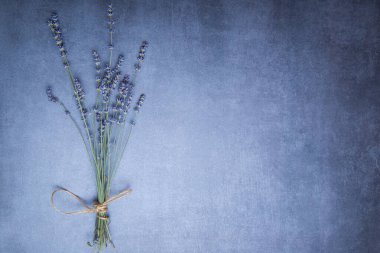 Bir demet lavanta, mor bir arka planda iple bağlanmış..