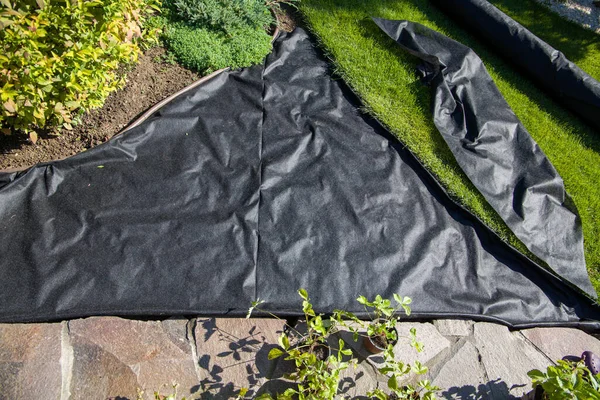 Çiçek tarlası siyah jeotextile ile kaplıdır..