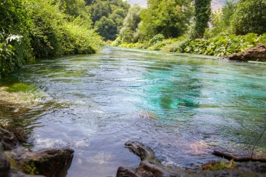 Arnavutluk 'ta mavi göz kaynağı. Ormandaki nehir.