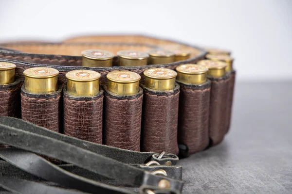 Hunting Cartridge Case Ammunition — Zdjęcie stockowe