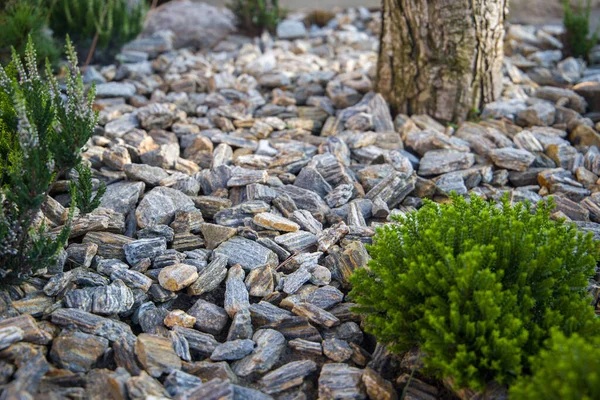 Flowerbed Filled Decorative Stone Selective Focus — Stock Photo, Image