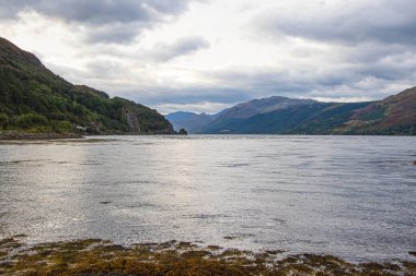 İskoçya 'nın Skye Adası' ndaki Elgol 'daki kayalık plajı. İskoçya 'nın Skye Adası' ndaki Loch Fada Gölü 'nde sisli bir sabahın minimalist İskoç manzarası