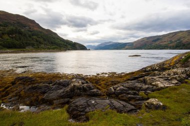 İskoçya 'nın Skye Adası' ndaki Elgol 'daki kayalık plajı. İskoçya 'nın Skye Adası' ndaki Loch Fada Gölü 'nde sisli bir sabahın minimalist İskoç manzarası