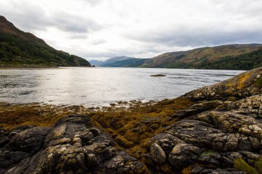 İskoçya 'nın Skye Adası' ndaki Elgol 'daki kayalık plajı. İskoçya 'nın Skye Adası' ndaki Loch Fada Gölü 'nde sisli bir sabahın minimalist İskoç manzarası