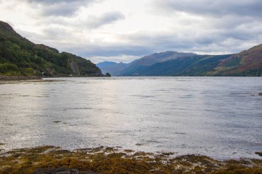İskoçya 'nın Skye Adası' ndaki Elgol 'daki kayalık plajı. İskoçya 'nın Skye Adası' ndaki Loch Fada Gölü 'nde sisli bir sabahın minimalist İskoç manzarası